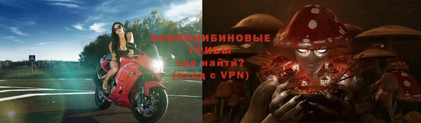 мескалин Арсеньев