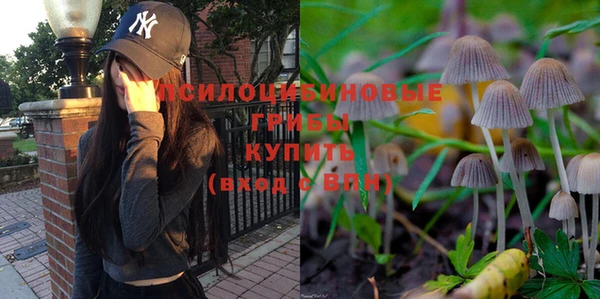 каннабис Аркадак