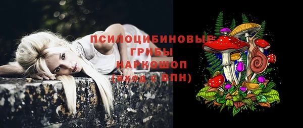 мескалин Арсеньев