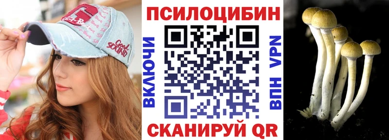 сколько стоит  Рыбное  OMG зеркало  Галлюциногенные грибы Cubensis 