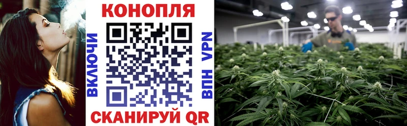 МАРИХУАНА индика  Рыбное 